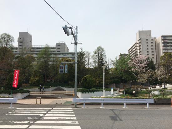 新長島川親水公園